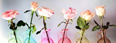 Как продлить жизнь цветам в вазе?